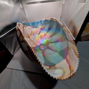 Large Shell Murano Art Glass Bowl Sea Shell Folded Rainbow 17" Mother of Pearl